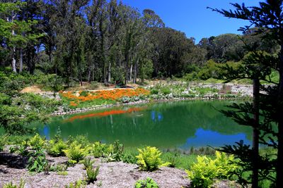 Middle Lake