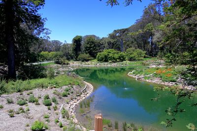 Middle Lake