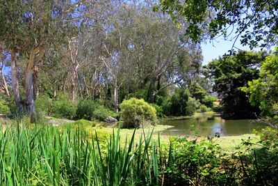 South Lake