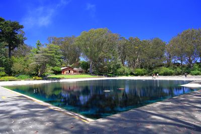 Fly Casting Pools