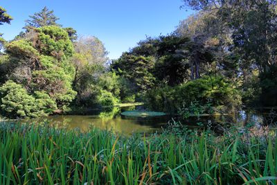 Chain of Lakes Drive