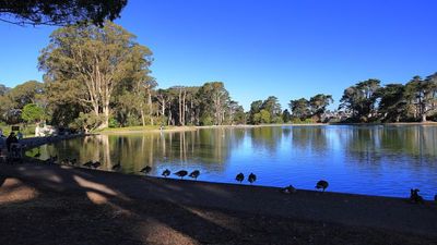 Spreckels Lake