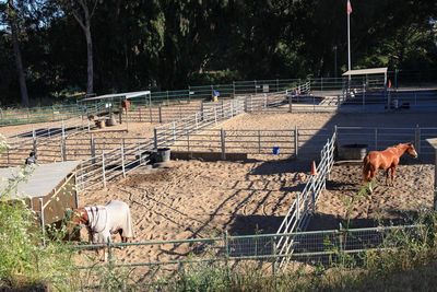 Stables