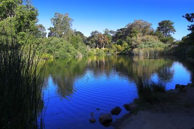 North Lake