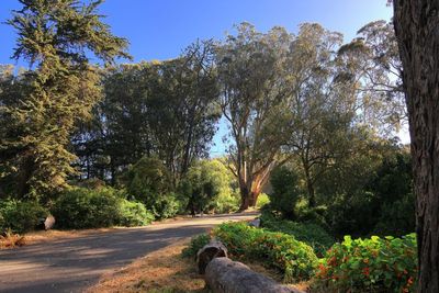 Chain of Lakes Drive West
