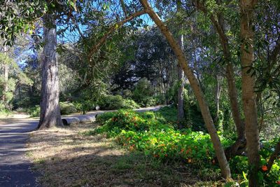 Chain of Lakes Drive
