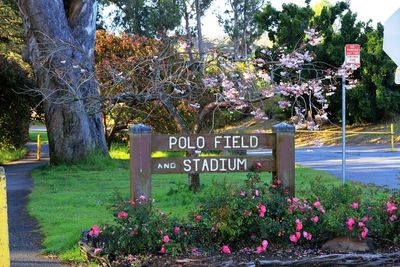 Polo Fields