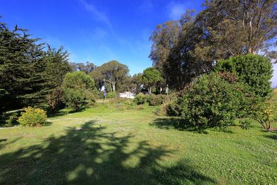 Rhododendron Island