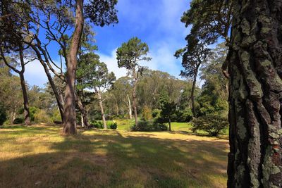 Marx Meadow
