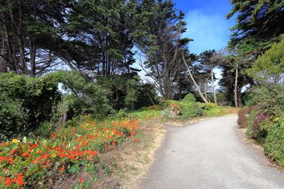 Beach Chalet Path & Soccer Fields