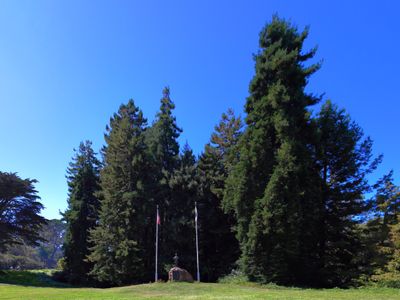Doughboy Meadow & Redwood Memorial Grove