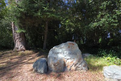 Heroes Grove