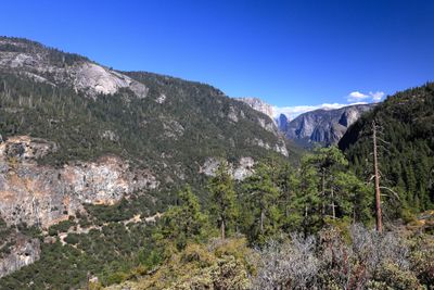 Wawona Road Overlook