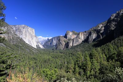 Tunnel View