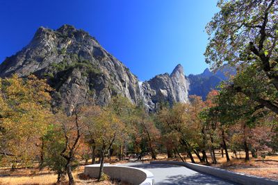 Bridlevail Fall