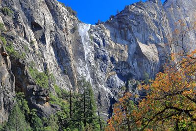 Bridlevail Fall