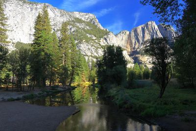 Swinging Bridge