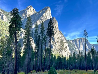 Valley Floor Views