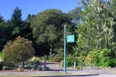 Rhododendron Dell