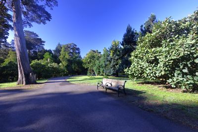g13/24/745724/3/174979799.6a7ac3aa.JPEG