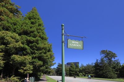 Rose Garden