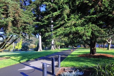Park edge at Stanyan