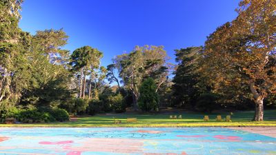 Peacock Meadow