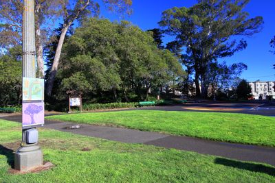 6th Ave Skate Area