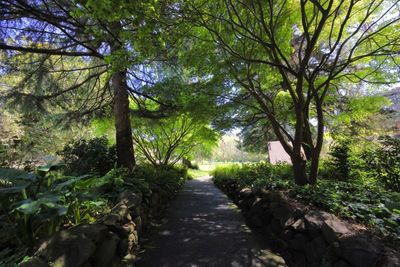 Path to JFK from Lake