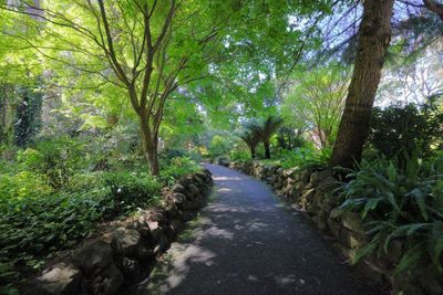 Path to Lake from JFK