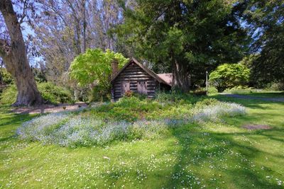 Pioneer Log Cabin (1911)