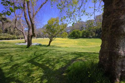 Pioneer Meadow