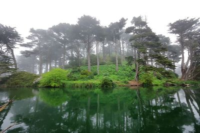 Western View of Fog Covered Strawberry Hill