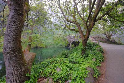 Fogged In