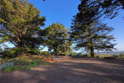Strawberry Hill Summit (400 ft elevation)