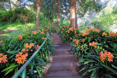 Stairway to Upper Falls