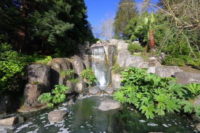g13/24/745724/3/175369928.54151e44.JPEG