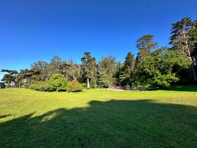 Mothers Meadow