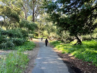 Path from Mothers Meadow to Blue Heron Lake