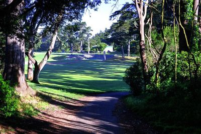 Kezar Drive & MLK Jr Drive South East