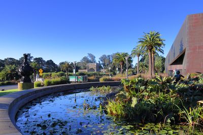 de Young Museum