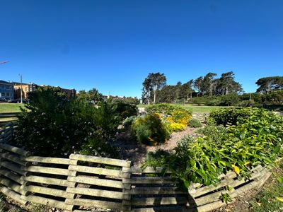 Kezar Triangle