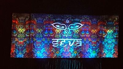 SEVA Benefit 03/04/17 Castle Theater MACC
