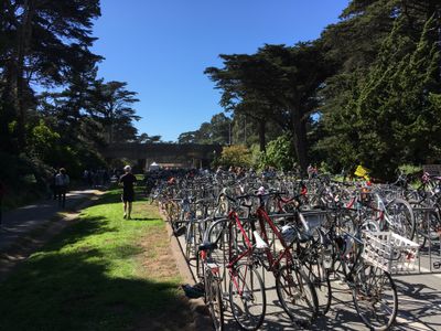 Hardly Strictly Bluegrass 2016-10-01 Golden Gate Park