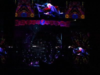 Bruce Spotlight