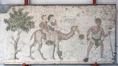 The Great Palace Mosaic Museum