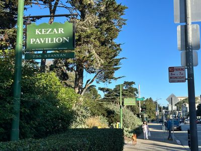 Along Stanyan between Waller & Frederick