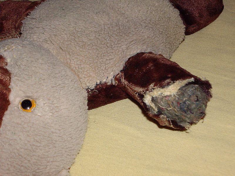 Brownie - before 2.JPG