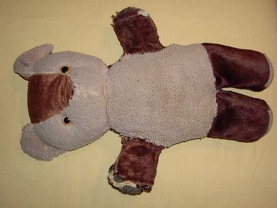 Brownie - before 1.JPG