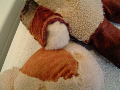 Brownie - repair 3.jpg